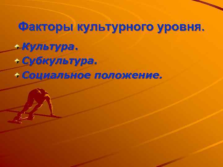 Факторы культурного уровня. Культура. Субкультура. Социальное положение. 