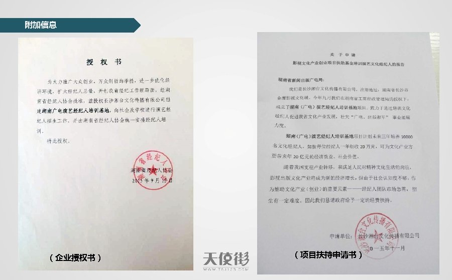 附加信息 （企业授权书） （项目扶持申请书） 