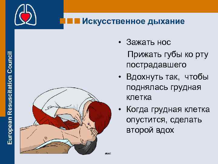 European Resuscitation Council Искусственное дыхание • Зажать нос Прижать губы ко рту пострадавшего •