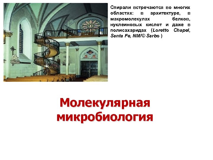 Спирали встречаются во многих областях: в архитектуре, в макромолекулах белков, нуклеиновых кислот и даже