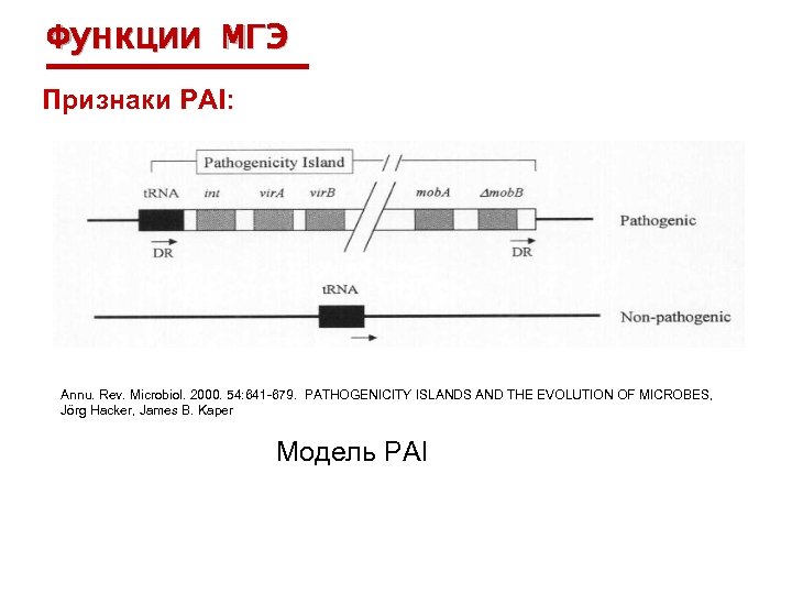 Функции МГЭ Признаки PAI: Annu. Rev. Microbiol. 2000. 54: 641 -679. PATHOGENICITY ISLANDS AND
