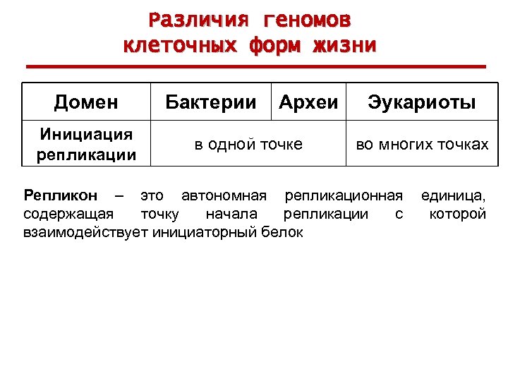 Различия геномов клеточных форм жизни Домен Инициация репликации Бактерии Археи в одной точке Эукариоты