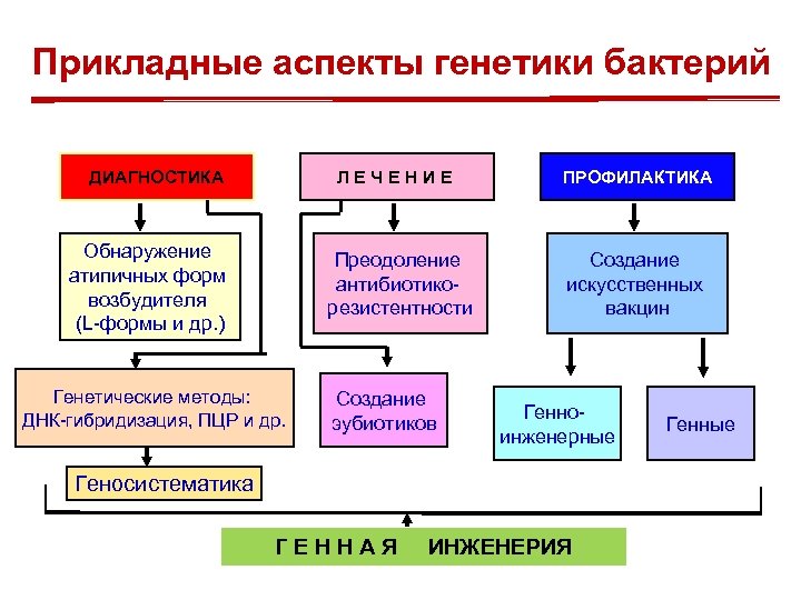 Прикладные аспекты генетики бактерий ДИАГНОСТИКА ЛЕЧЕНИЕ Обнаружение атипичных форм возбудителя (L-формы и др. )