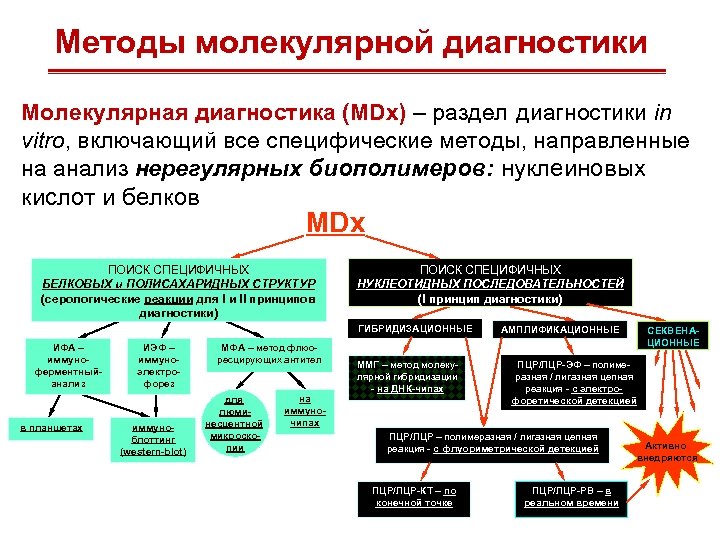 Методы молекулярной диагностики Молекулярная диагностика (MDx) – раздел диагностики in vitro, включающий все специфические