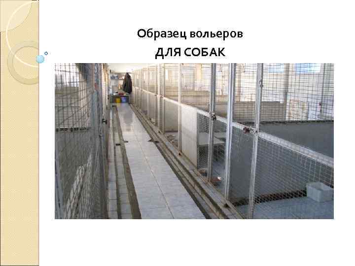 Образец вольеров ДЛЯ СОБАК 