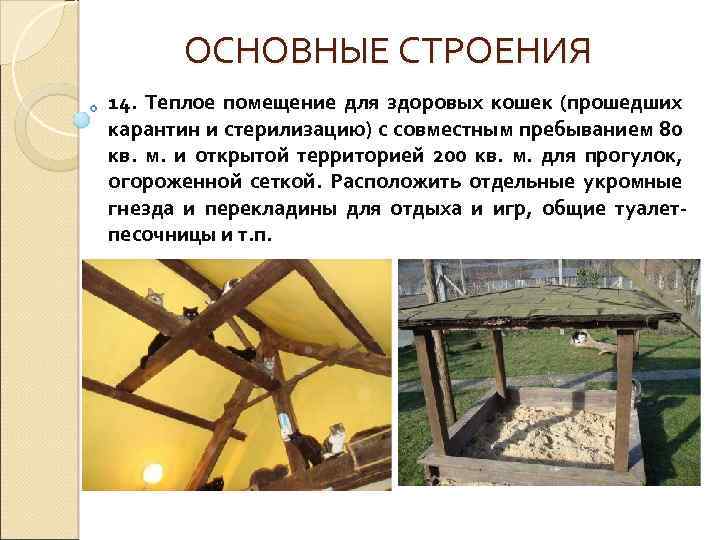 ОСНОВНЫЕ СТРОЕНИЯ 14. Теплое помещение для здоровых кошек (прошедших карантин и стерилизацию) с совместным