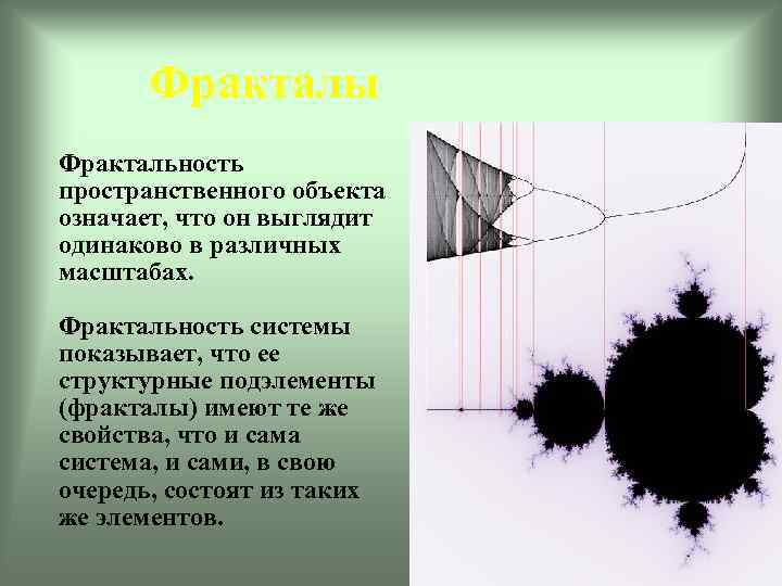 Фракталы Фрактальность пространственного объекта означает, что он выглядит одинаково в различных масштабах. Фрактальность системы