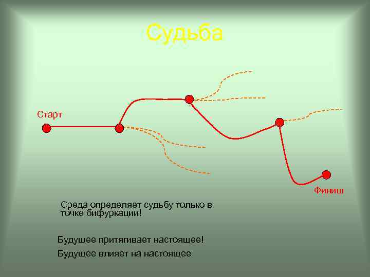 Линия начала. Точка бифуркации. Точка бифуркации пример. Флуктуация в точке бифуркации. Точки бифуркации в процессе развития системы.