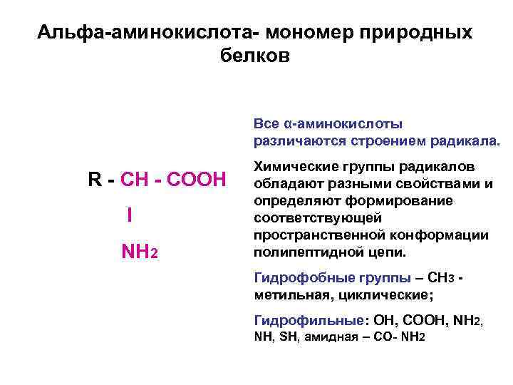 Альфа-аминокислота- мономер природных белков Все α-аминокислоты различаются строением радикала. R - CН - СООН