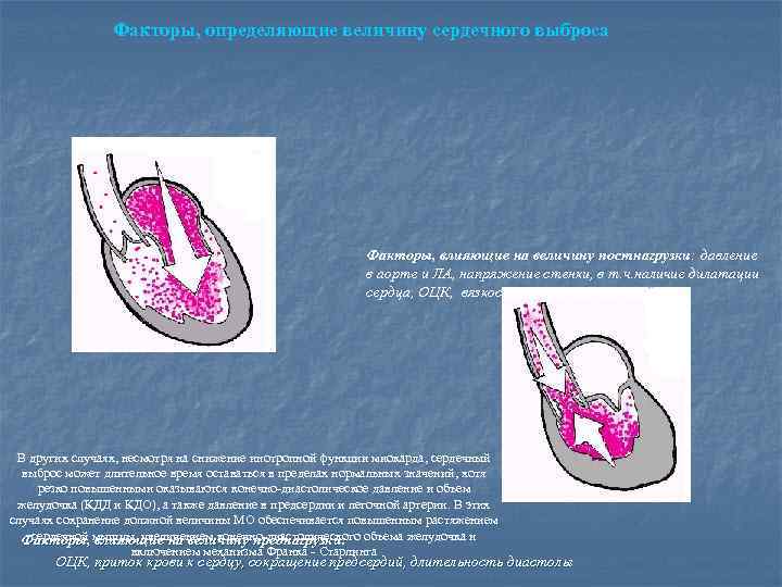 Факторы, определяющие величину сердечного выброса Факторы, влияющие на величину постнагрузки: давление в аорте и