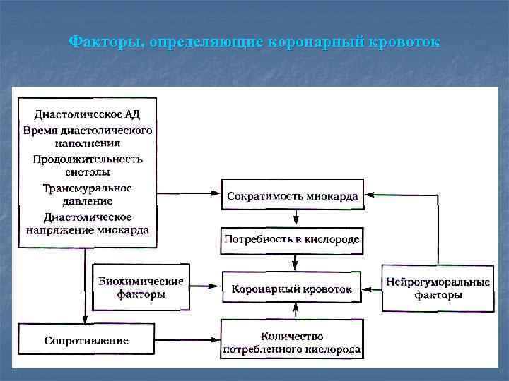 Факторы, определяющие коронарный кровоток 