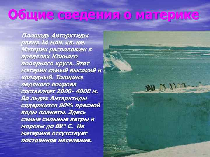 Общие сведения о материке Площадь Антарктиды равна 14 млн. кв. км. Материк расположен в