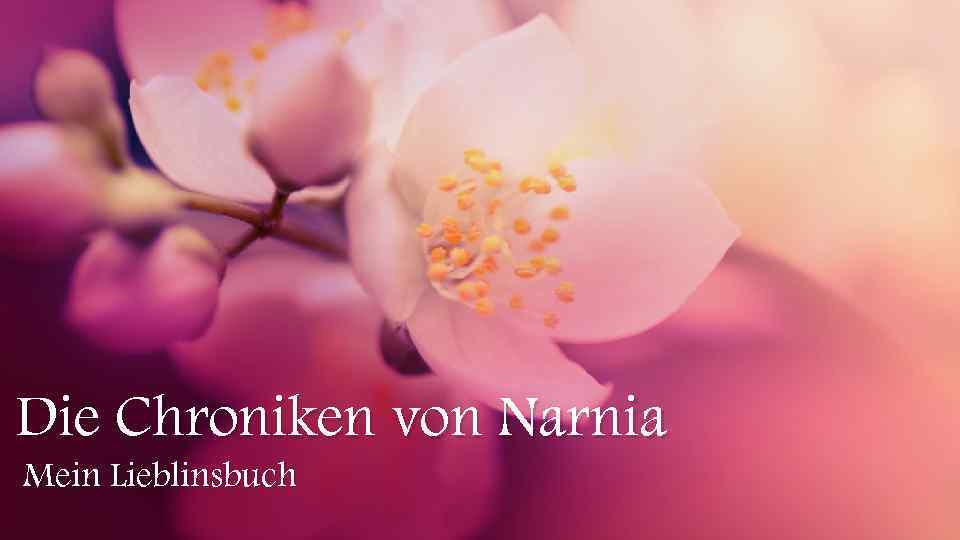 Die Chroniken von Narnia Mein Lieblinsbuch 