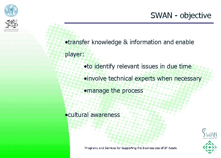 SWAN - objective ·transfer knowledge & information and enable player: ·to identify relevant issues