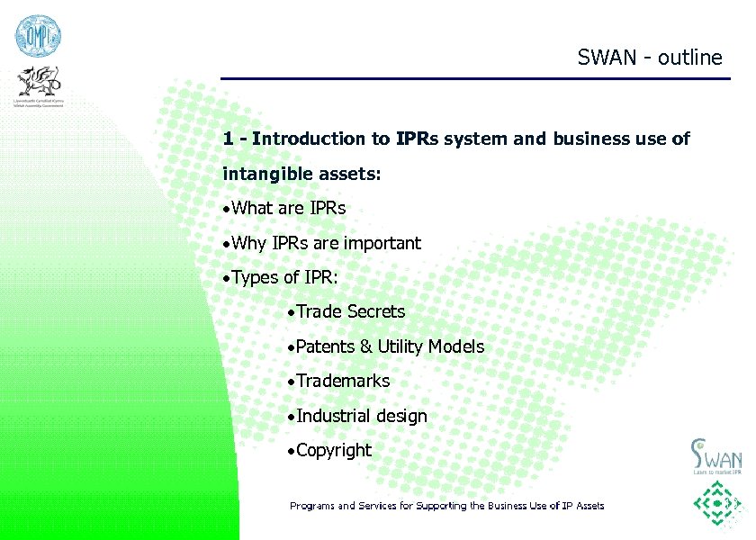 SWAN - outline 1 - Introduction to IPRs system and business use of intangible