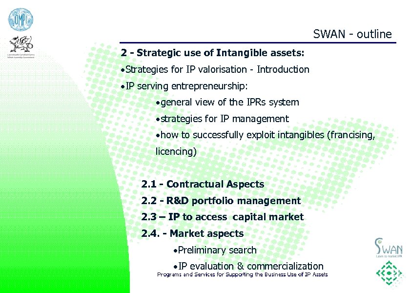 SWAN - outline 2 - Strategic use of Intangible assets: ·Strategies for IP valorisation