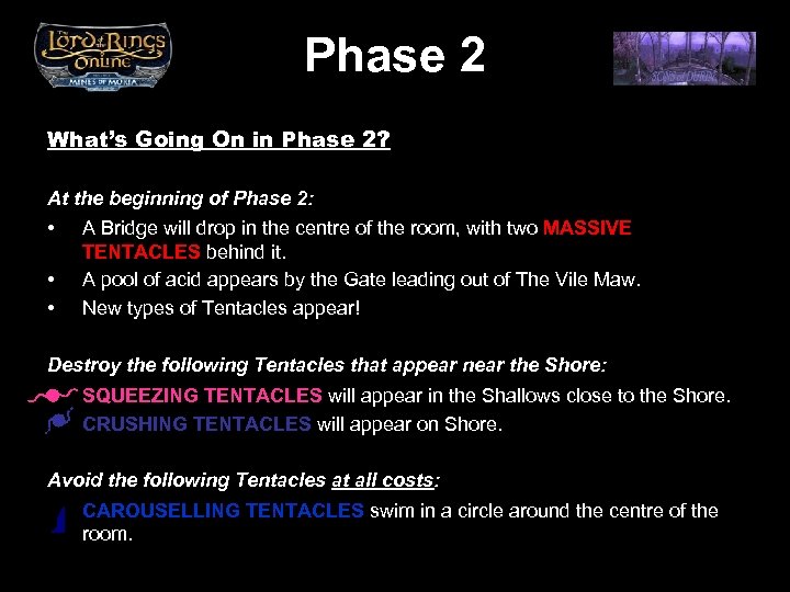 Phase 2 What’s Going On in Phase 2? At the beginning of Phase 2: