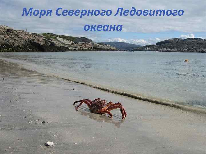 Моря Северного Ледовитого океана 