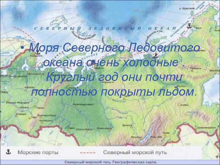  • Моря Северного Ледовитого океана очень холодные. Круглый год они почти полностью покрыты