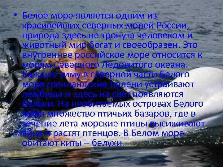 Море является. Белое море относится к внутреннему морю.