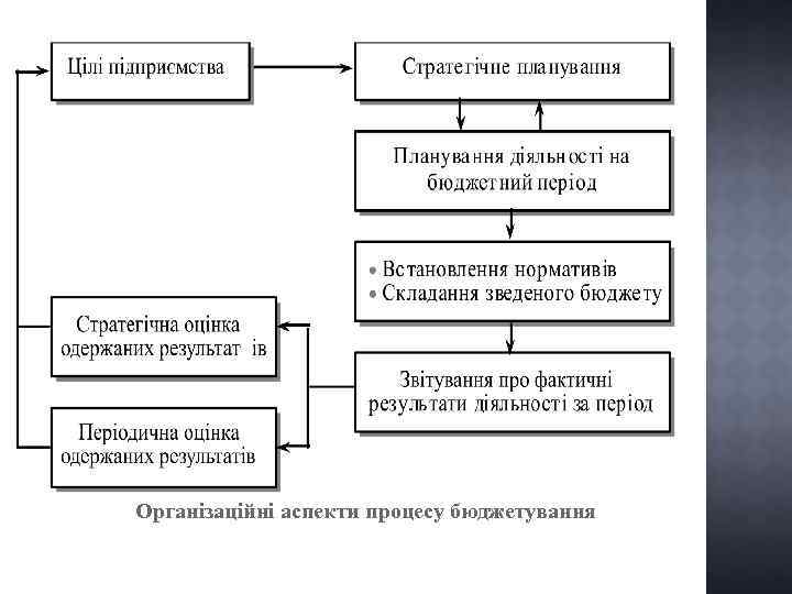 Організаційні аспекти процесу бюджетування 