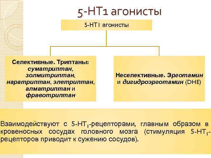 5 -НТ 1 агонисты Селективные. Триптаны: суматриптан, золмитриптан, наратриптан, элетриптан, алматриптан и фравотриптан Неселективные.