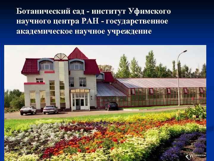 Ботанический сад - институт Уфимского научного центра РАН - государственное академическое научное учреждение 
