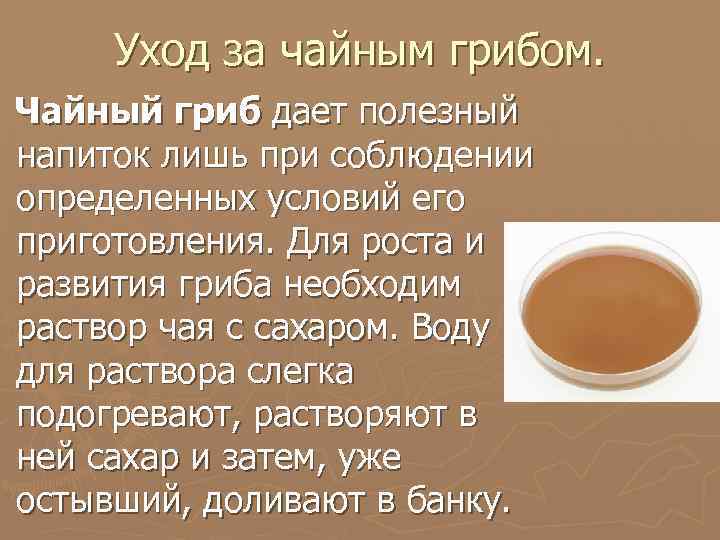 Уход за чайным грибом. Чайный гриб дает полезный напиток лишь при соблюдении определенных условий
