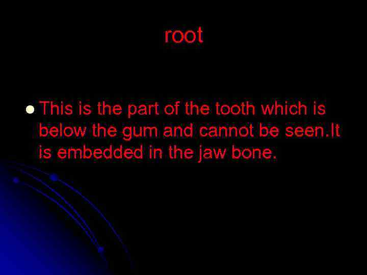 root l This is the part of the tooth which is below the gum