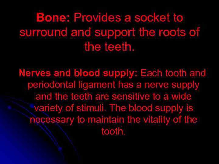 Bone: Provides a socket to surround and support the roots of the teeth. Nerves