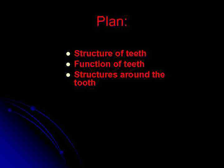 Plan: l l l Structure of teeth Function of teeth Structures around the tooth