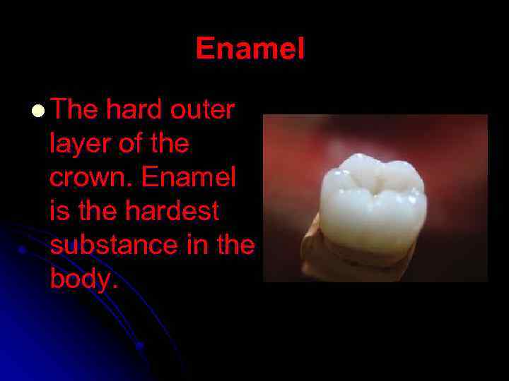 Enamel l The hard outer layer of the crown. Enamel is the hardest substance