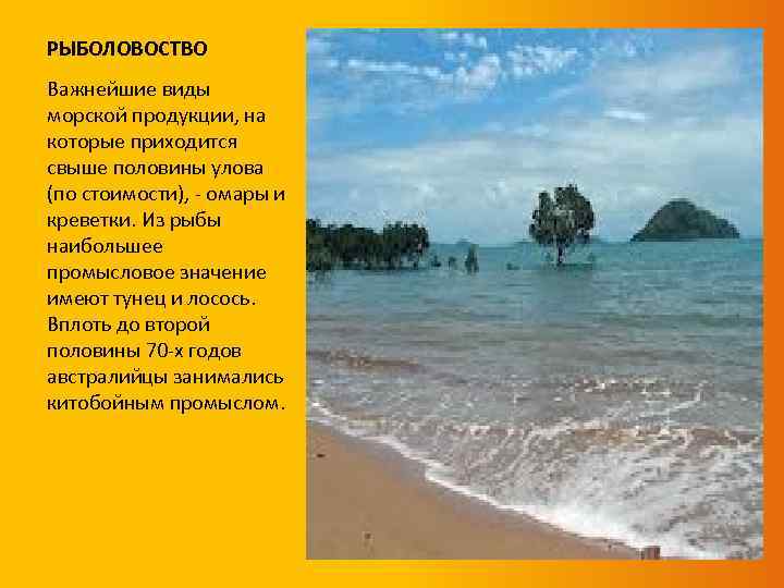 РЫБОЛОВОСТВО Важнейшие виды морской продукции, на которые приходится свыше половины улова (по стоимости), -