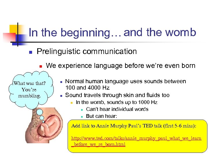 In the beginning… and the womb n Prelinguistic communication n What was that? You’re