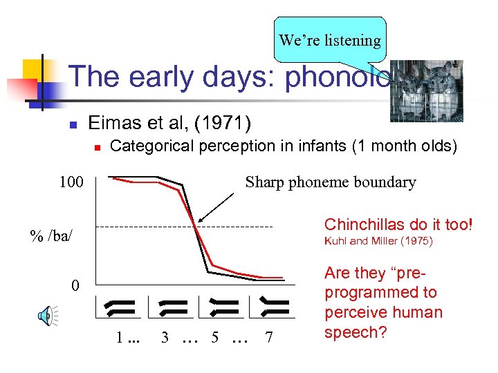 We’re listening The early days: phonology n Eimas et al, (1971) n Categorical perception