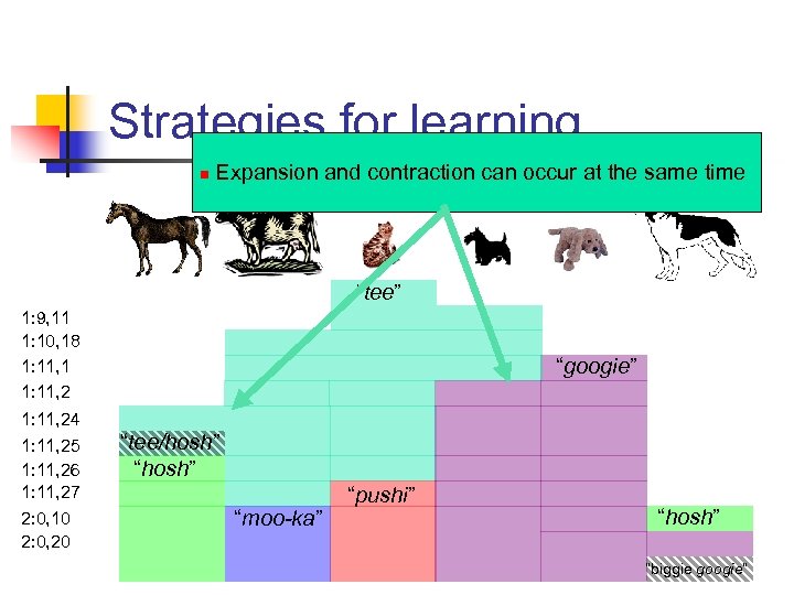 Strategies for learning n Expansion and contraction can occur at the same time “tee”