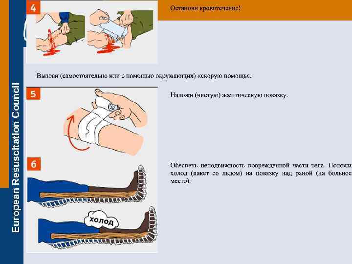 European Resuscitation Council 