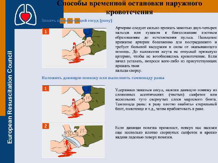 European Resuscitation Council 