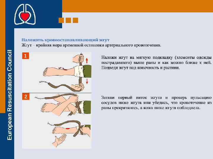 European Resuscitation Council 