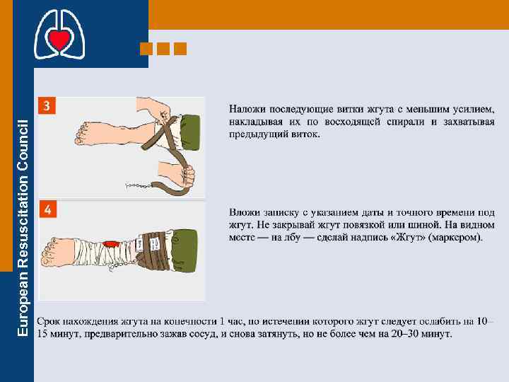 European Resuscitation Council 