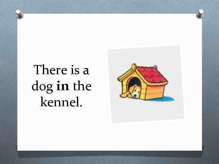 There is a dog in the kennel. 