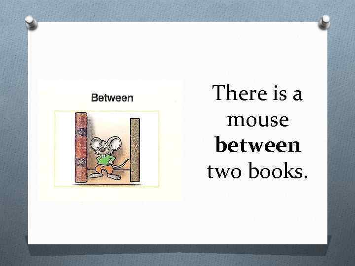 There is a mouse between two books. 