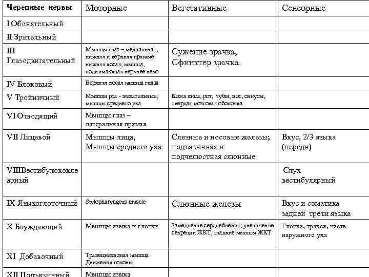 Черепные нервы Моторные Вегетативные Сенсорные I Обонятельный II Зрительный III Глазодвигательный Мышцы глаз –