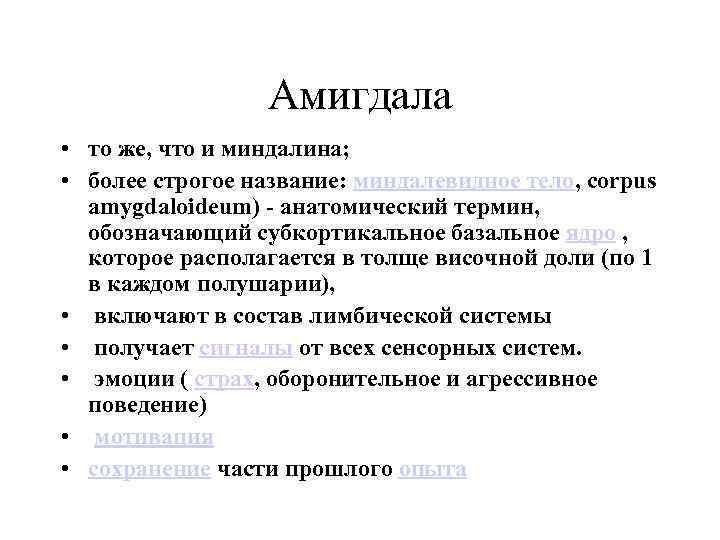 Амигдала • то же, что и миндалина; • более строгое название: миндалевидное тело, corpus