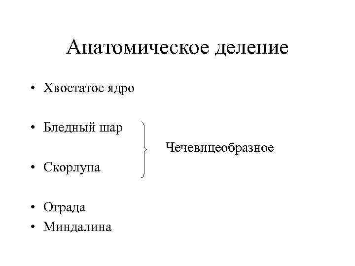 Анатомическое деление • Хвостатое ядро • Бледный шар Чечевицеобразное • Скорлупа • Ограда •