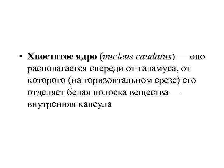  • Хвостатое ядро (nucleus caudatus) — оно располагается спереди от таламуса, от которого