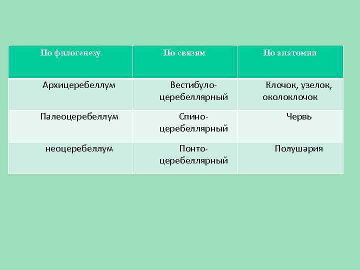 По филогенезу По связям По анатомии Архицеребеллум Вестибулоцеребеллярный Клочок, узелок, околоклочок Палеоцеребеллум Спиноцеребеллярный Червь