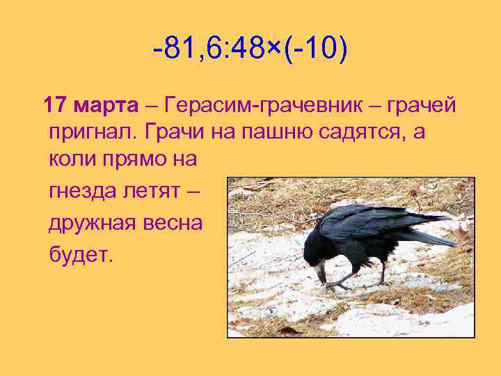 -81, 6: 48×(-10) 17 марта – Герасим-грачевник – грачей пригнал. Грачи на пашню садятся,