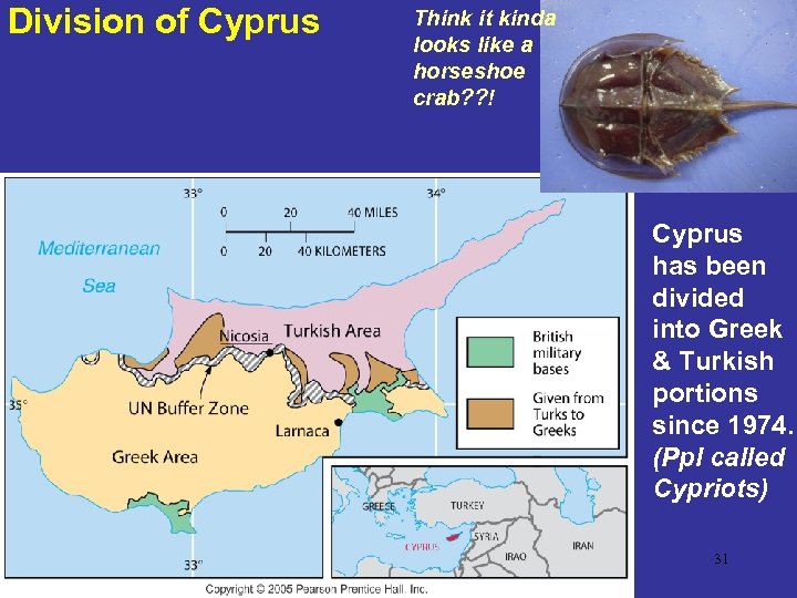 Division of Cyprus Think it kinda looks like a horseshoe crab? ? ! Cyprus