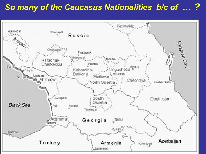 So many of the Caucasus Nationalities b/c of … ? 44 